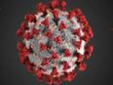 New COVID-19 cases in US tripled over last year