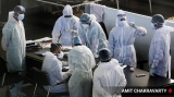 Cases of ‘Kappa’ variant of coronavirus found in Gujarat