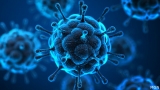 First probable case of Monkeypox in Ohio identified