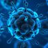 CHHS faculty member awarded KDPH grant for promoting health equity & COVID-19 immunizations in underserved populations across Kentucky using the Bingocize® platform