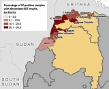 Plasmodium Falciparum Evolving to Escape Malaria Rapid Diagnostics in Africa