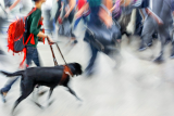 Public Health Collaboration With CDC To Address Disability Health Disparities In Georgia – Georgia State University News