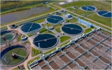 News Feature: Microbes for better sewage treatment