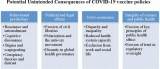 The unintended consequences of COVID-19 vaccine policy: why mandates, passports and restrictions may cause more harm than good