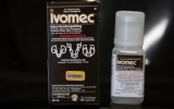 Fox News and conservatives promote unproven ivermectin, as people buy livestock dewormer – The Washington Post