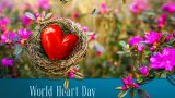 World Heart Day 2021: Know all about the date, history, significance and theme | Health