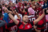 Will Qatar’s health sector be able to handle World Cup crowds? – Doha News