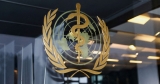 EXCLUSIVE U.S. opposes plans to strengthen World Health Organization