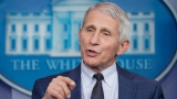 Fauci holds up BA.5 booster as best approach to handling COVID this fall