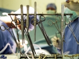 Fecal transplants may reduce effects of aging in the gut, eyes, and brain