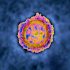 Awake Prone Positioning No Benefit for COVID-19-Linked Hypoxemia – Consumer Health News
