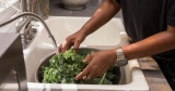 The importance of nutrition and diet in HIV and AIDS