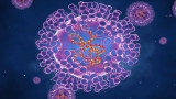 Monkeypox Case Identified in Virginia: CDC – NBC4 Washington