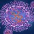 Omicron poses about half the risk of long COVID as delta, new research finds