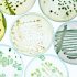 Three years on, what is the legacy of the Covid-19 pandemic?