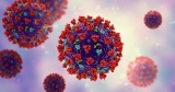 Will 2023 be the year COVID-19 becomes endemic in Canada? Experts weigh in – National