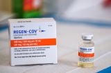 Broward Health’s Chief Medical Officer Calls Monoclonal Antibody Treatment A Game Changer In Fight Against COVID – CBS Miami