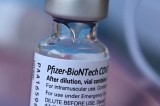 World Health Organization calls for pause on COVID-19 booster shots in US, certain countries until 2022; ‘I will not stay silent’