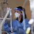 The women tackling malaria in Viet Nam’s remote communities