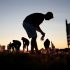 No safe limit of alcohol consumption for health, WHO analysis shows