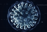 Hays County upgraded to high COVID risk in latest CDC update