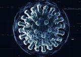 CDC: 80% of Illinois has medium, high COVID transmission level