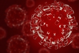 Erie County reports 51 new cases of COVID-19; State reports 12,406 new cases over weekend, 67% of Pa adults fully vaccinated
