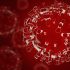 Portuguese digital health startup UpHill raises €4.5M to guide clinical decisions