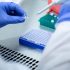COVID-19 will continue but the end of the pandemic is near