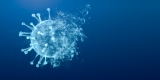 ‘Centaurus,’ new ‘stealth Omicron’ COVID subvariant BA.2.75, found in the U.S.: CDC