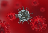 COLORADO CORONAVIRUS: 16 counties in CDC’s worst level for COVID-19