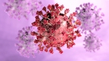 CDC reports 78 additional COVID-19 deaths in OK