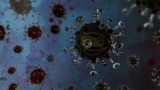 CDC reports 36 additional COVID-19 deaths in Oklahoma