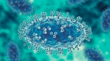 1st Probable Case Detected, CDC Confirming – NBC Boston
