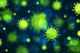 What We Know About the XBB COVID Variant