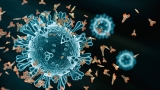 Three Subvariants Causing 70% of New England COVID Infections – NBC Boston