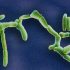 Many patients with weak immune systems don’t realize their Covid-19 medicine isn’t as effective as it used to be