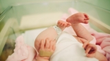 22 Infants Hospitalized Due to Parechovirus Infection as CDC Issues Warning – NBC Connecticut