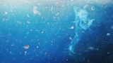 Pathogens Can Hitch a Ride on Plastic to Reach the Sea