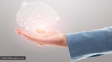 World Brain Day: Six key ways to preserve brain health