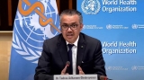 Covid global health emergency hopefully ends next year: World Health Organization chief
