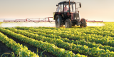 CDC finds toxic weedkiller in 87 percent of children tested