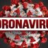 COVID-19 mortality rate five times higher among labor, retail and service workers, study reveals