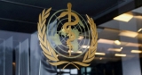 Explainer: How the World Health Organization might face future pandemics