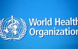 Greater efforts needed to get routine immunisation back to pre-COVID times: World Health Organization