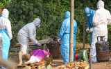  India’s excess COVID deaths statement inaccurate, says WHO technical group member