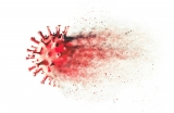 Virus Eradication, Extinction, and Elimination Explained
