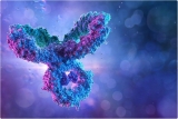 Using IgG antibody assay to Identify natural SARS-CoV-2 infection in vaccinees