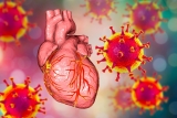 Impact of cardiovascular disease in pregnant or postpartum COVID-19 patients