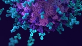 CDC study reveals hybrid SARS-CoV-2 spike from Delta/Omicron recombination event